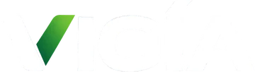Vigía